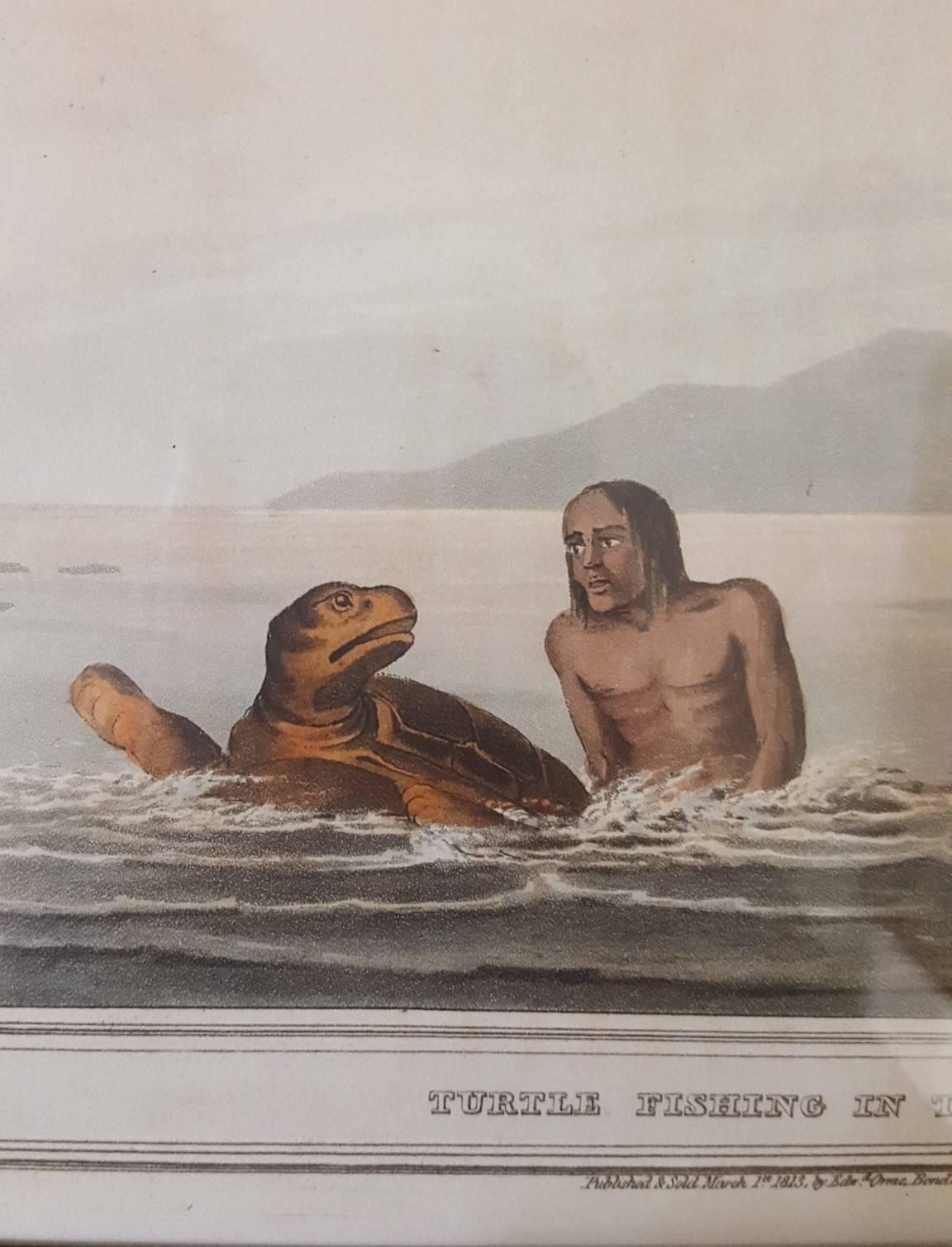 Turtle Fishing in the Water - Victorian Print by Samuel Howitt