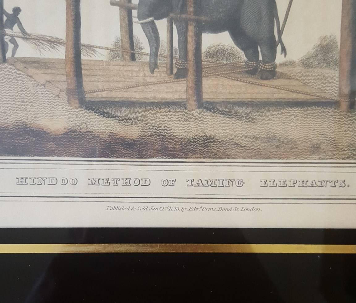 Hindoo Method of Taming Elephants - Beige Animal Print by Samuel Howitt