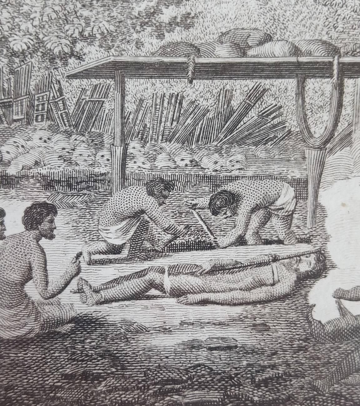 Representation of Human sacrifice with Captain Cook 2