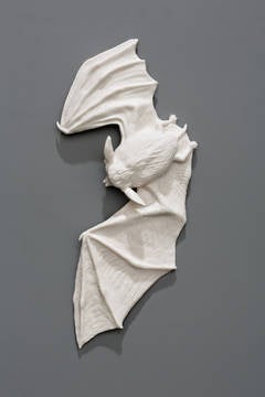 Skin-Changer's Closet: Bat