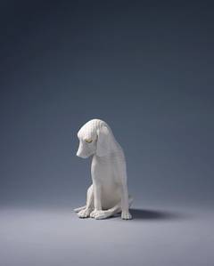 The Imperceptible-Dog 7