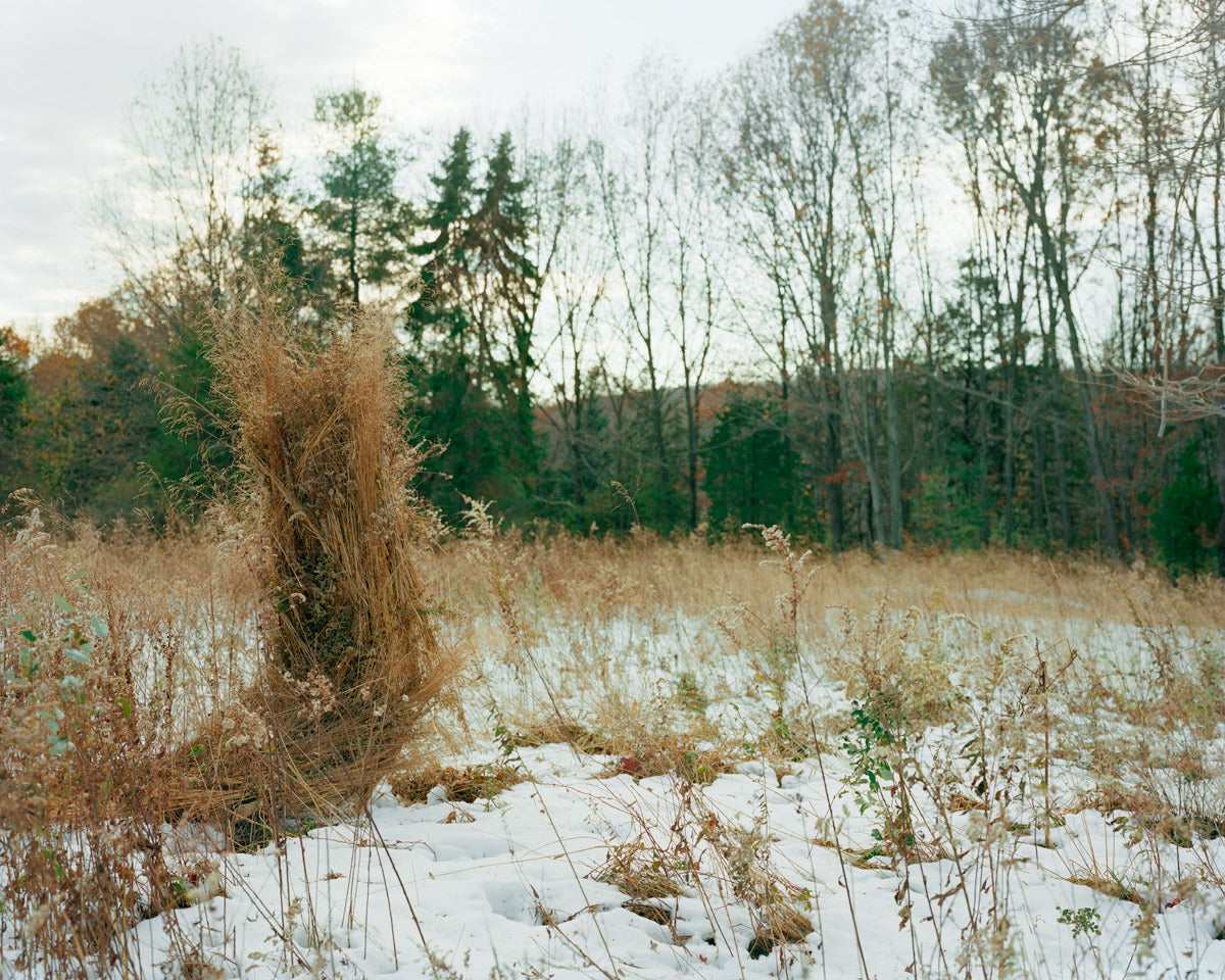 Ghillie Suit (Weeds) - Photograph by Jeremy Chandler