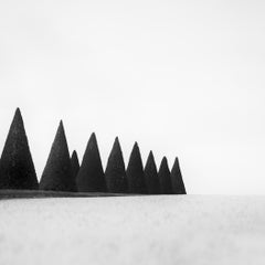 Hedges Study 3, Versailles, France, Limited Black-and-White Fine Art Photography