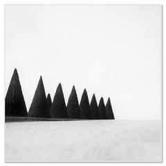 Hedges Study 3, Versailles, France, Limited Black-and-White Fine Art Photography