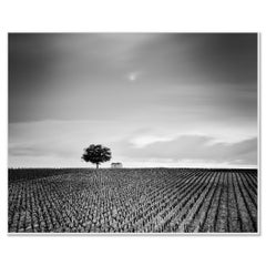 Estudio 2 de Champagne Paradise, Paisaje de viñedos en blanco y negro, Francia