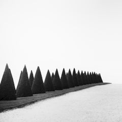 Hedges Study 1, Versailles, France, Limited Black-and-White Fine Art Photography