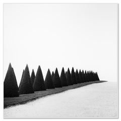 Hedges Study 1, Versailles, France, Limited Black-and-White Fine Art Photography