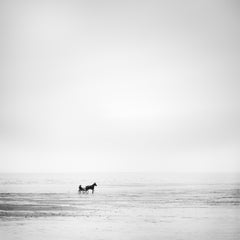 Carreras de caballos, playa solitaria, fotografía en blanco y negro, paisaje limitado