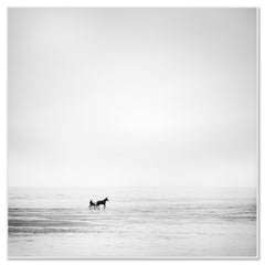 Carreras de caballos, playa solitaria, fotografía en blanco y negro, paisaje limitado
