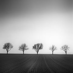 Avenue des Cerisiers, Autriche – Photographie en noir et blanc en édition limitée