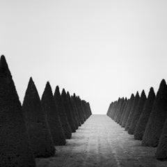Étude n° 4 « Hedges », Versailles, France, tirage photographique d'art en noir et blanc en édition limitée