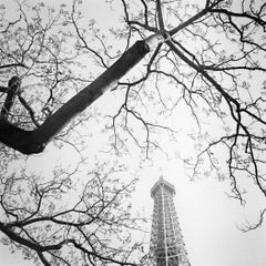 Albero e Torre Eiffel, fotografia artistica in bianco e nero, Parigi, Francia