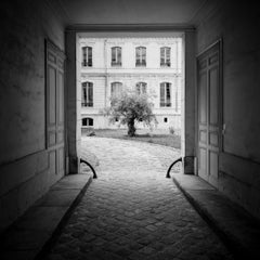 Árbol en el patio, París, fotografía artística en blanco y negro – Edición limitada