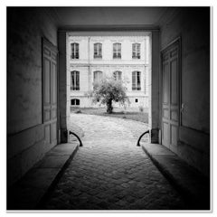 Árbol en el patio, París, fotografía artística en blanco y negro – Edición limitada