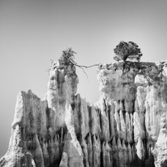 Gli organi di Ille-sur-Tet, Studio 3, Francia, fotografia artistica in bianco e nero