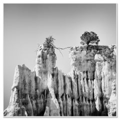 Gli organi di Ille-sur-Tet, Studio 3, Francia, fotografia artistica in bianco e nero