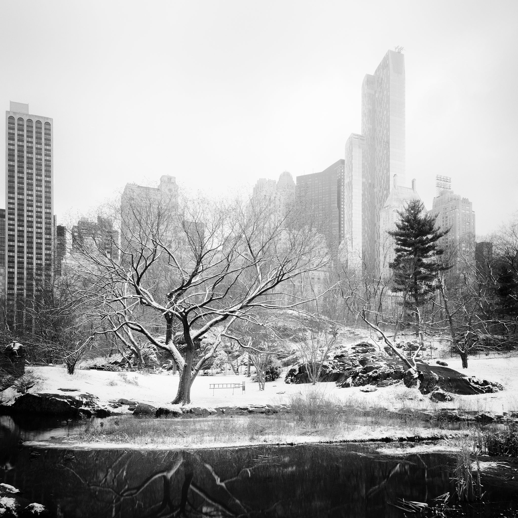 Der verschneite Central Park, New York City – Schwarz-Weiß-Kunstfotografie