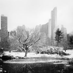 Der verschneite Central Park, New York City – Schwarz-Weiß-Kunstfotografie