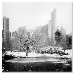 Der verschneite Central Park, New York City – Schwarz-Weiß-Kunstfotografie