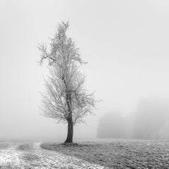 Frozen Farmland, minimalist black and white photograph, limited edition print