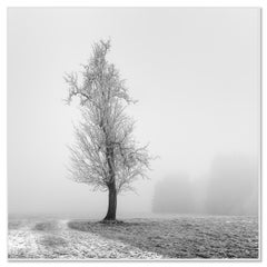 Frozen Farmland, minimalist black and white photograph, limited edition print