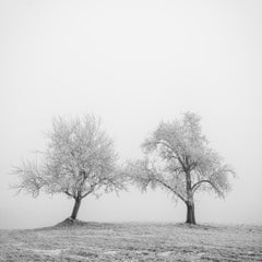 Minimalist Winter Field with Frosted Trees – Black and White Limited Photo