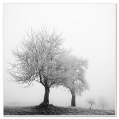 Frozen Landscape – Minimalist Winter Landscape Photograph – Limited Edition