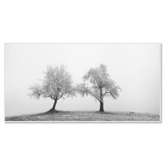 Panoramaaufnahme von zwei einsamen, vereisten Bäumen, Österreich, Schwarz-Weiß-Kunstfotografie
