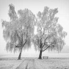 Place to Linger Winter – Minimalist Black and White Landscape Photography Print