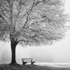 Cold Foggy Winter Morning – Minimalist Black and White Winter Landscape Photo