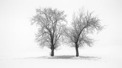 Still Winter Morning – Austria, Minimalist Black-and-White Fine Art Photograph