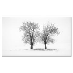 Still Winter Morning – Austria, Minimalist Black-and-White Fine Art Photograph