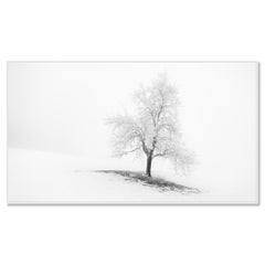 Panorama de un árbol invernal cubierto de escarcha – Austria, fotografía de paisaje en blanco y negro