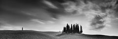 Cypress Hill Panorama, Toskana, Schwarz-Weiß-Fotografie, Kunstlandschaft