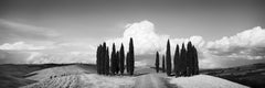 Cerchio di cipressi, Toscana, fotografia d'arte in bianco e nero, paesaggio