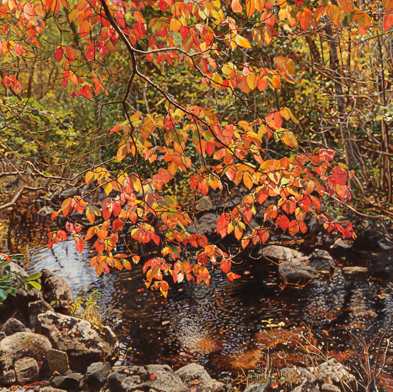 Jeffrey Vaughn Landscape Painting - Dogwood Leaves