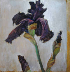 Black Iris
