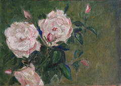 Queen Anne Roses