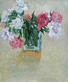 Pink and White Peonies