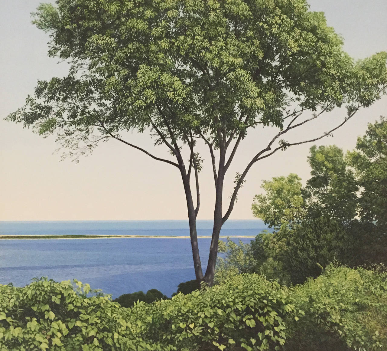 Anita Mazzucca Landscape Painting - Sandy Hook