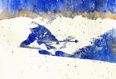 Carving Up the White Stuff