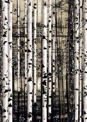 Tree and Telephone Wire