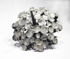 Radiolarian 3 6