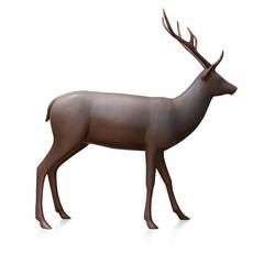 Deer 8