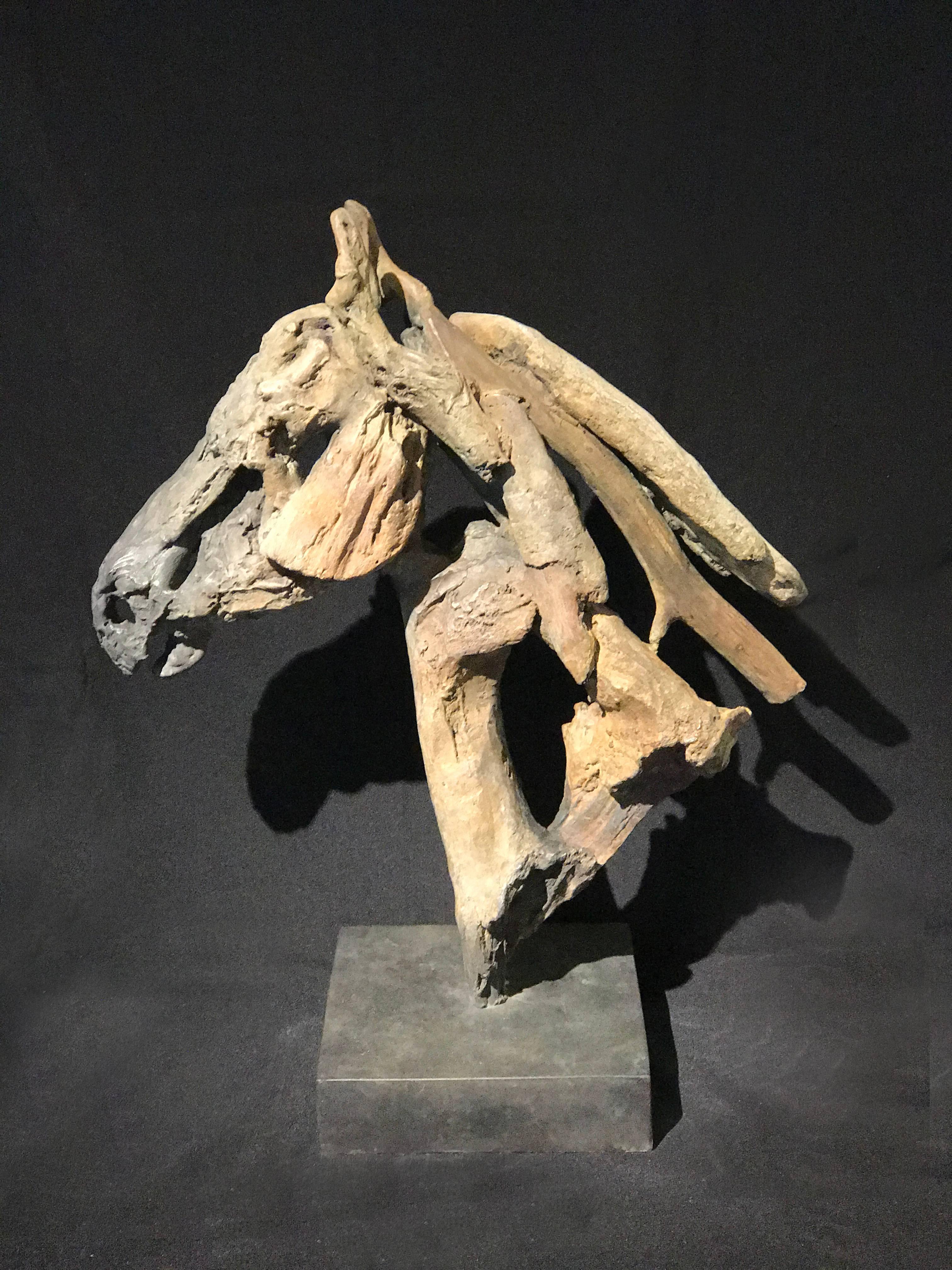 Jupiter - Sculpture by Heather Jansch