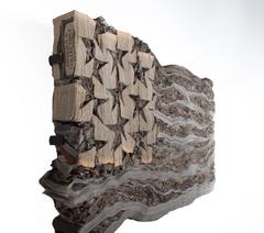 The Congressional Record