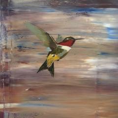 Used Hummingbird I
