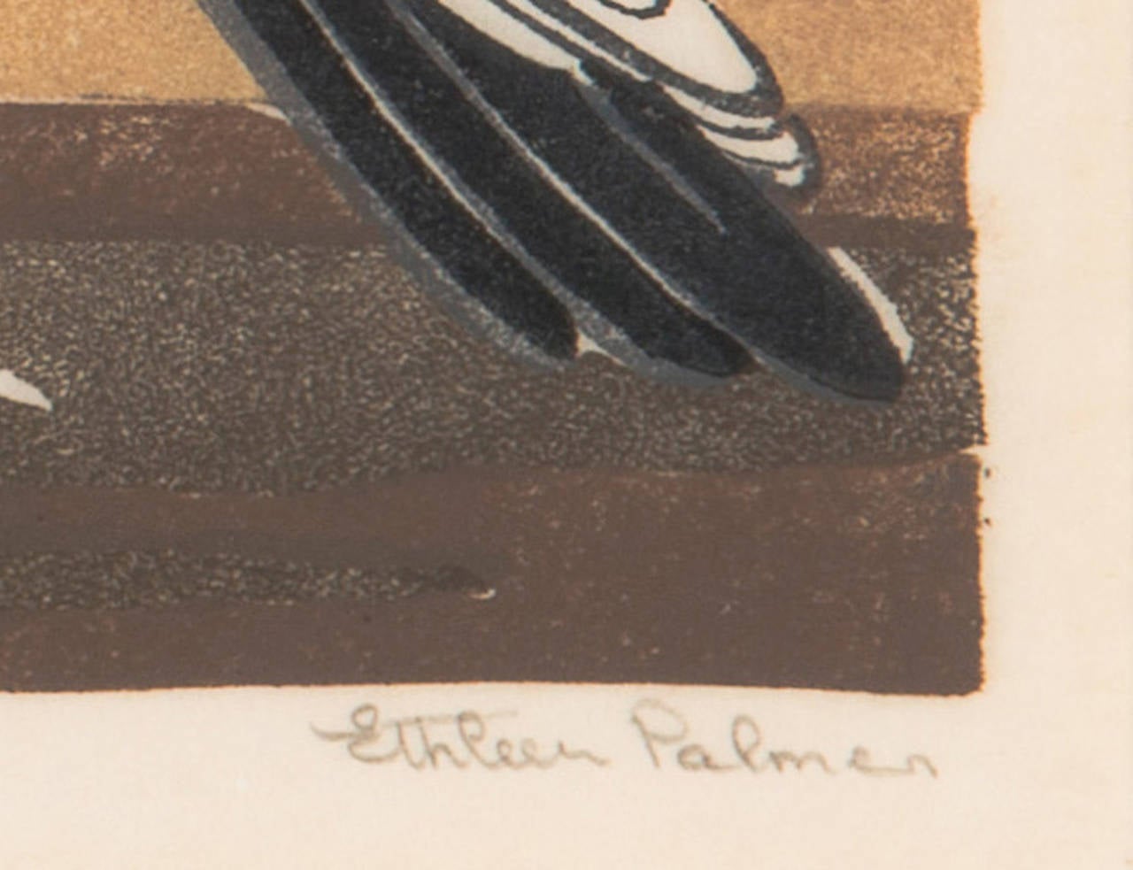 Pouter Pigeons