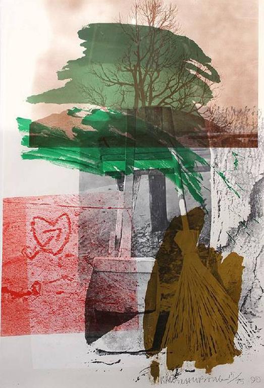 Earth Day - Print by Robert Rauschenberg