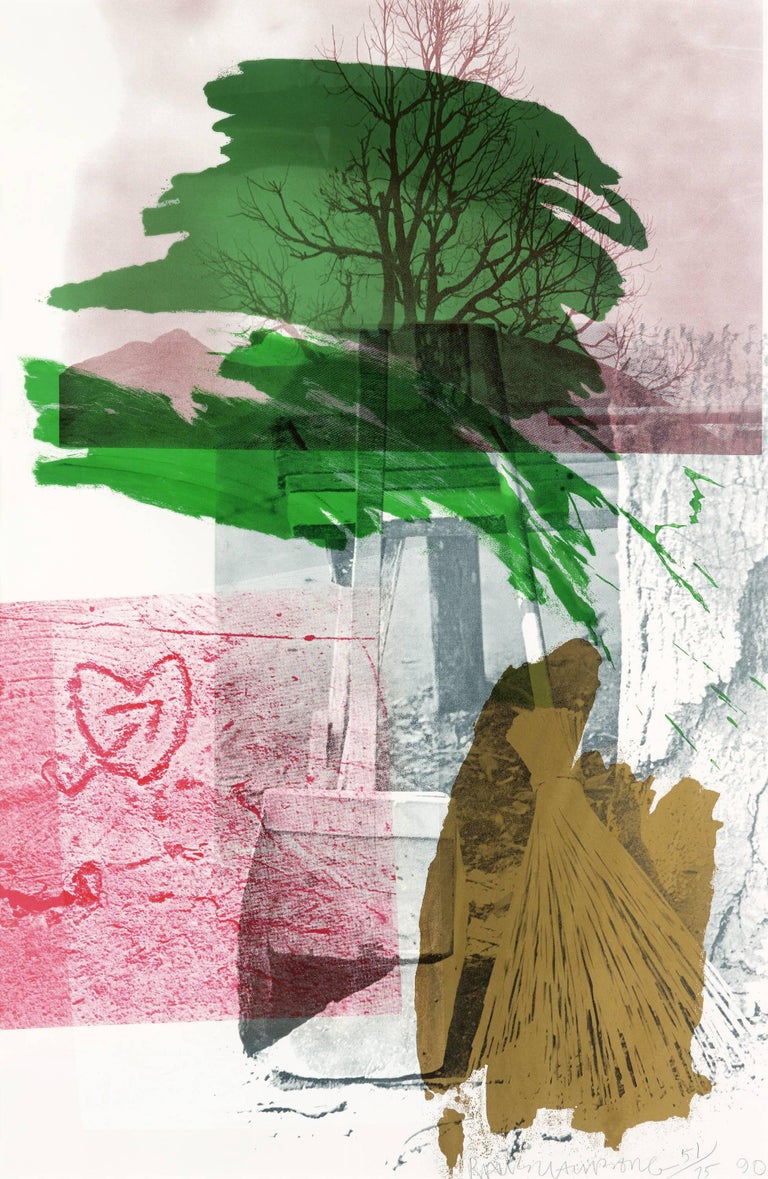 Robert Rauschenberg Print - Earth Day